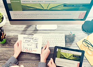 Professional web design in Naples, Florida